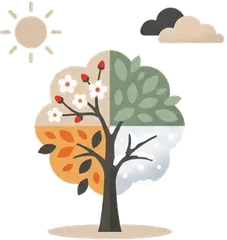 A tree showing all four seasons